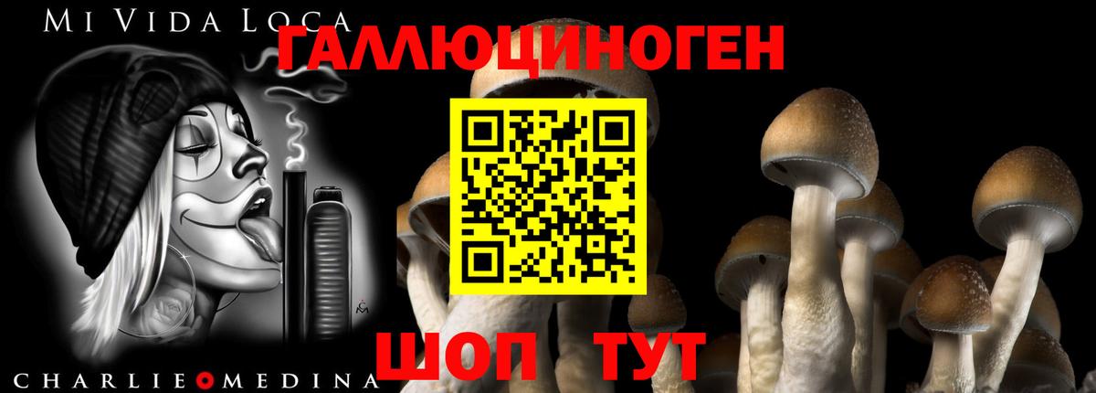 как найти закладки  Галлюциногенные грибы GOLDEN TEACHER  Вход с VPN  Нальчик 